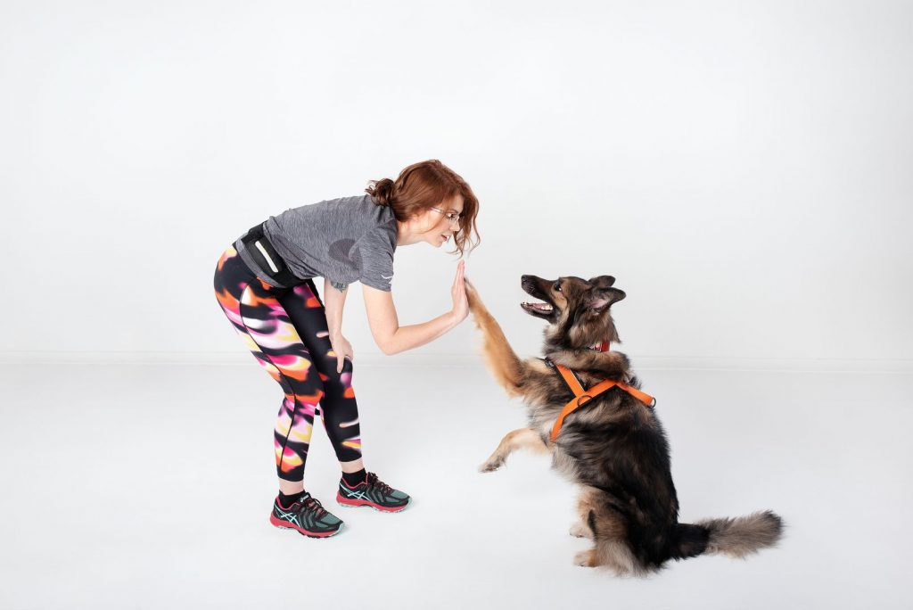 Z psem na obcasach - sesja fotograficzna z psem by Alicja Duchiewicz Fotografka